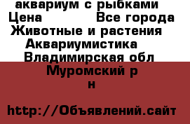 аквариум с рыбками › Цена ­ 1 000 - Все города Животные и растения » Аквариумистика   . Владимирская обл.,Муромский р-н